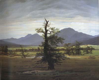Caspar David Friedrich Landscape with Solitary Tree (mk10) oil painting image